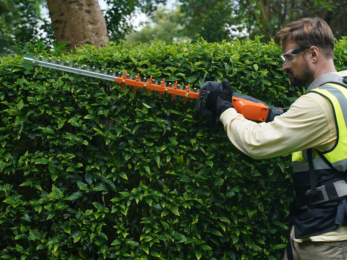 hedg-trimmer-4