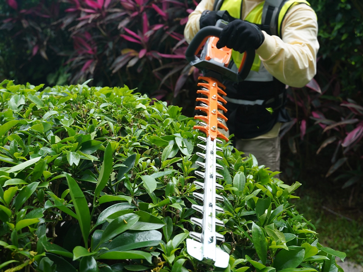 hedg-trimmer-6