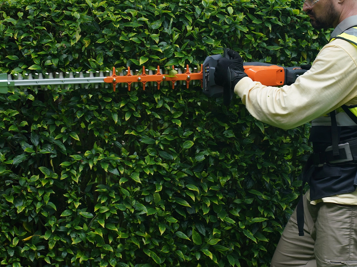 hedg-trimmer-7