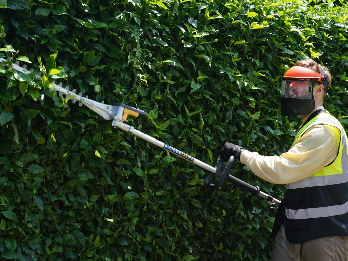 pole-hedger-6