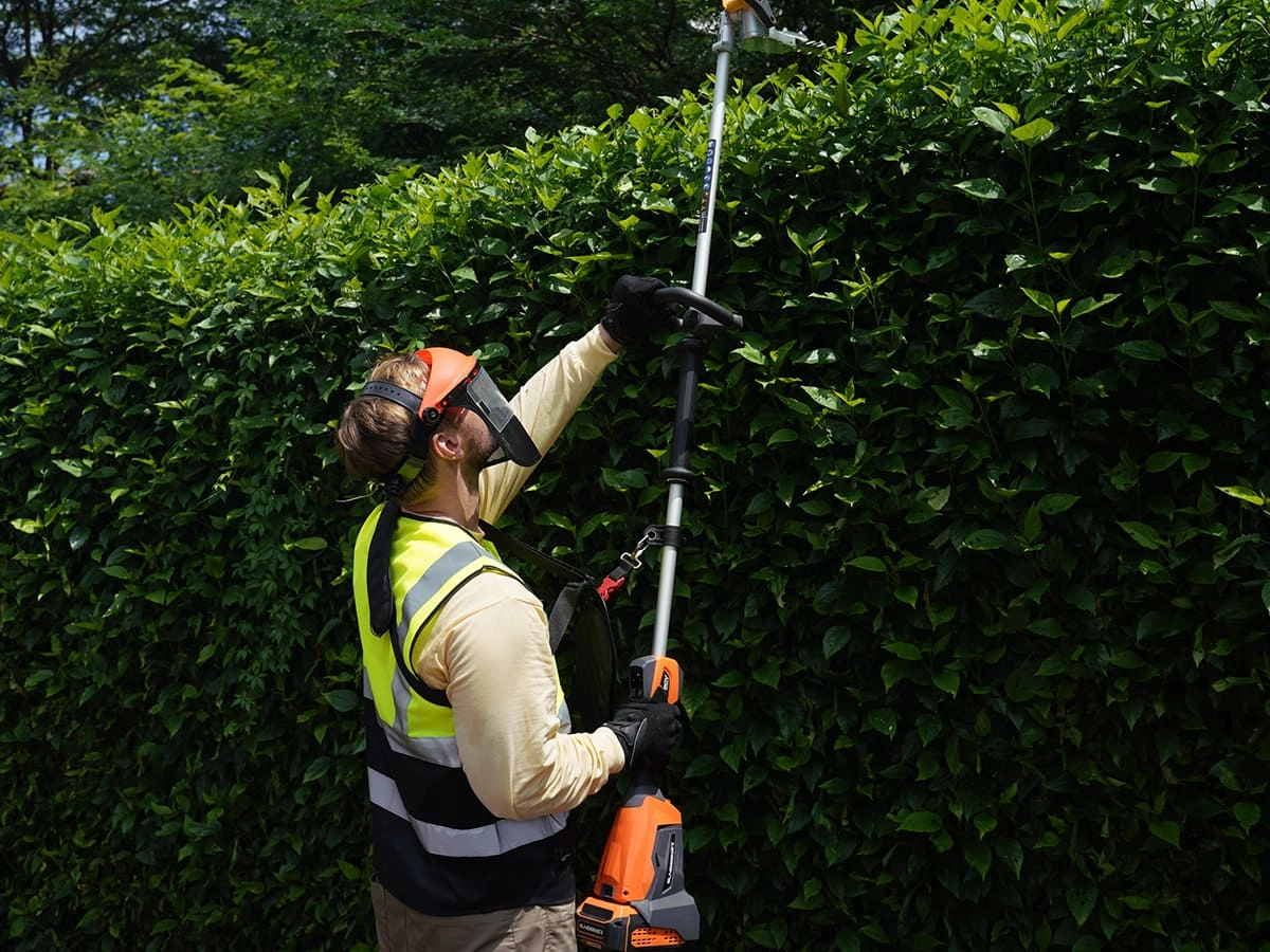 pole-hedger-7