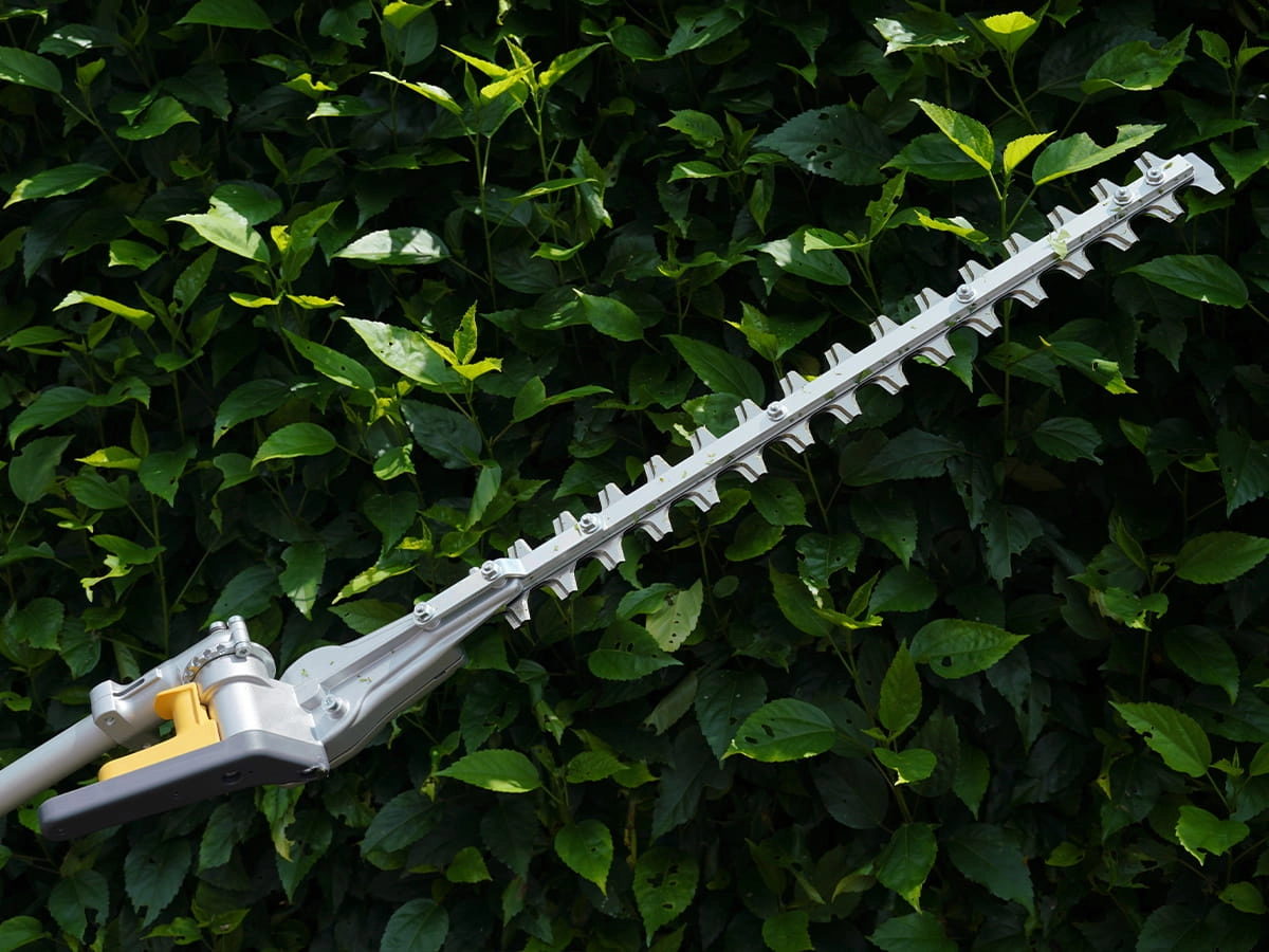 pole-hedger-8